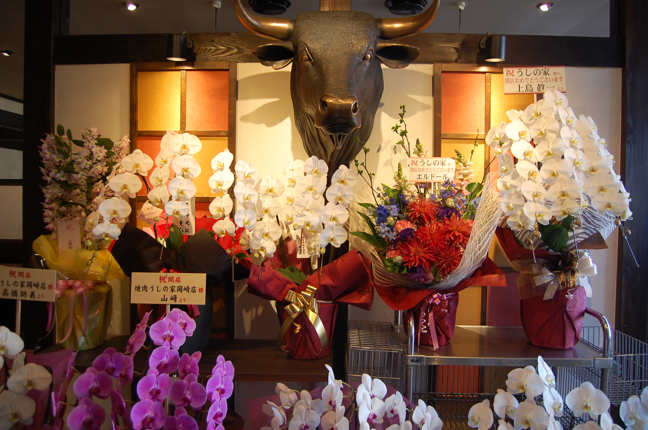 うしの家岡崎店オープン