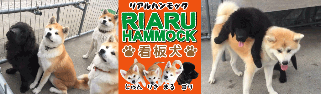 海の家　看板犬